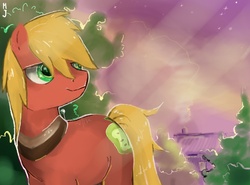 Size: 1280x945 | Tagged: safe, artist:fly-gray, big macintosh, earth pony, pony, g4, male, solo, stallion