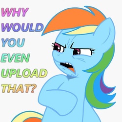 Size: 640x640 | Tagged: safe, rainbow dash, g4, ew gay, reaction image, text