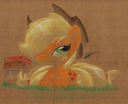 Size: 1004x820 | Tagged: safe, artist:getchanoodlewet, applejack, earth pony, pony, g4, female, solo