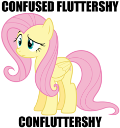 Size: 470x500 | Tagged: safe, artist:myardius, fluttershy, pegasus, pony, g4, stare master, caption, confluttershy, confused, image macro, reaction image, solo