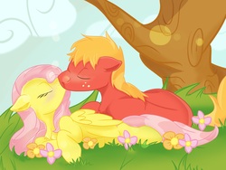 Size: 4000x3000 | Tagged: safe, artist:skunkwaffle, big macintosh, fluttershy, earth pony, pegasus, pony, g4, duo, female, kiss on the lips, kissing, male, mare, ship:fluttermac, shipping, stallion, straight