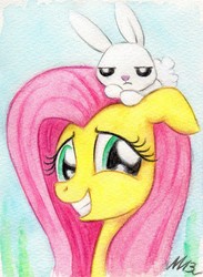 Size: 970x1326 | Tagged: safe, artist:deathcutlet, angel bunny, fluttershy, g4, traditional art, unamused