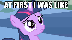Size: 640x360 | Tagged: safe, edit, edited screencap, screencap, twilight sparkle, pony, g4, the cutie mark chronicles, animated, caption, female, filly, filly twilight sparkle, image macro, low area flashing, reaction image, solo, younger