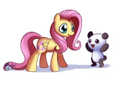 Size: 900x600 | Tagged: safe, artist:solar-slash, fluttershy, panda, g4, cute