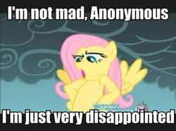 Size: 600x447 | Tagged: safe, fluttershy, oc, oc:anon, g4, fourth wall, hub logo, hubble, image macro, implied anon, the hub, transformers