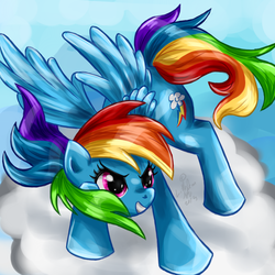 Size: 1100x1100 | Tagged: safe, artist:littleocean, rainbow dash, g4, cloud, palindrome get