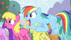Size: 600x338 | Tagged: safe, screencap, amethyst star, carrot top, cherry berry, golden harvest, rainbow dash, sparkler, spring melody, sprinkle medley, g4, the super speedy cider squeezy 6000, animated, background pony, cider dash, female, hub logo, loop, tongue out