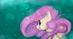 Size: 1023x554 | Tagged: safe, artist:ouyrof, fluttershy, fish, g4, puffy cheeks, underwater, watershy