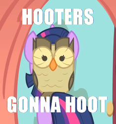 Size: 558x596 | Tagged: safe, edit, edited screencap, screencap, owlowiscious, g4, my little pony: friendship is magic, owl's well that ends well, season 1, cropped, haters gonna hate, image macro, looking at you, pun, text