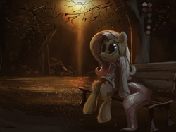 Size: 879x659 | Tagged: safe, artist:paladin, fluttershy, pony, g4, bench, clothes, female, solo