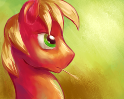 Size: 625x500 | Tagged: safe, artist:viwrastupr, big macintosh, earth pony, pony, g4, male, stallion