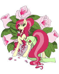 Size: 800x1000 | Tagged: safe, artist:chappy, roseluck, earth pony, pony, g4, alternate hairstyle, clothes, dress, female, flower, mare, mouth hold, rose, solo