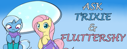 Size: 900x350 | Tagged: safe, artist:theparagon, fluttershy, trixie, g4