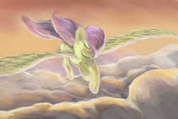 Size: 3000x2000 | Tagged: safe, artist:viwrastupr, fluttershy, pony, g4, female, solo