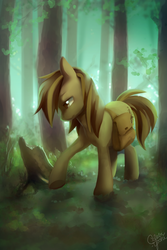 Size: 1260x1890 | Tagged: safe, artist:dawnfire, oc, oc only, oc:pathfinder, pony, colored pupils, forest, looking down, raised hoof, sad, scenery, signature, solo