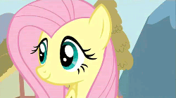 Size: 500x281 | Tagged: safe, fluttershy, g4, animated, blushing, cute, female
