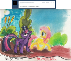 Size: 1154x989 | Tagged: safe, artist:kittyhawk-contrail, fluttershy, twilight sparkle, ask multimedia mane six, g4