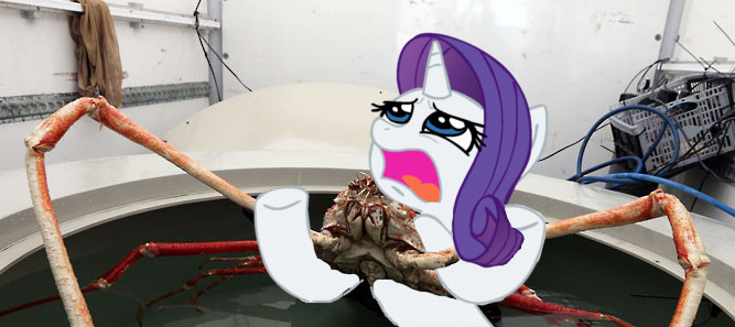 Safe Rarity Crab Pony Unicorn Irl Japanese Spider Crab Photo Ponies In Real Life Rarity Fighting A Giant Crab Rerity Derpibooru