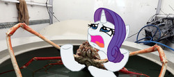 Size: 667x297 | Tagged: safe, rarity, crab, pony, unicorn, g4, irl, japanese spider crab, photo, ponies in real life, rarity fighting a giant crab, rerity