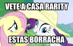 Size: 480x306 | Tagged: safe, fluttershy, rarity, g4, derp, drunk, hat, spanish, translated in the comments