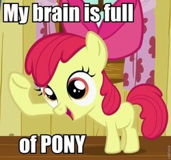 Size: 500x465 | Tagged: safe, edit, edited screencap, screencap, apple bloom, earth pony, pony, g4, derp, dialogue, female, filly, image macro, solo, text