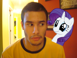 Size: 640x480 | Tagged: safe, artist:luisbonilla, rarity, g4, ponies in real life