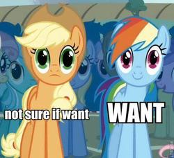 Size: 480x438 | Tagged: safe, applejack, rainbow dash, g4, image macro, not sure if want, reaction image, varying degrees of want, want
