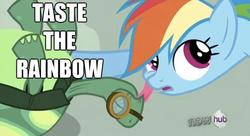 Size: 622x338 | Tagged: safe, rainbow dash, tank, g4, affection, kissing, licking, pun