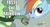 Size: 622x338 | Tagged: safe, rainbow dash, tank, g4, affection, kissing, licking, pun