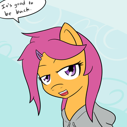 Size: 800x800 | Tagged: safe, artist:jake heritagu, scootaloo, pony, comic:ask motherly scootaloo, g4, alternate hairstyle, motherly scootaloo, sweatshirt, tumblr