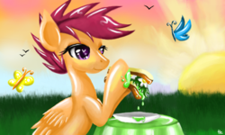 Size: 854x512 | Tagged: safe, artist:silvercommando, scootaloo, butterfly, g4, food, sandwich