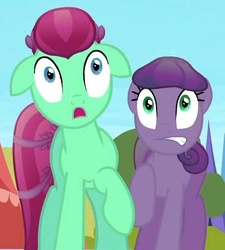 Size: 368x408 | Tagged: safe, screencap, grape gem, jade pot, crystal pony, pony, g4, cropped, crystal empire, out of context