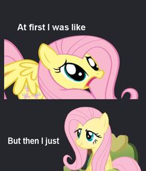 Size: 599x700 | Tagged: safe, fluttershy, pony, g4, image macro, reaction image, solo