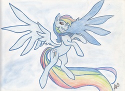 Size: 3728x2720 | Tagged: safe, artist:arxuicy, rainbow dash, pony, g4, female, solo