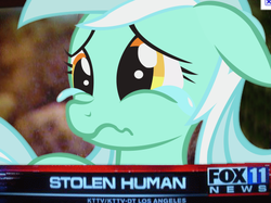 Size: 504x376 | Tagged: safe, lyra heartstrings, g4, meme, reaction image, stolen human