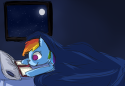 Size: 800x550 | Tagged: safe, artist:happyendingfactory, rainbow dash, pony, g4, bed, blanket, book, female, moon, moonlight, night, reading, solo