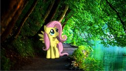 Size: 1280x720 | Tagged: safe, artist:colorfulbrony, fluttershy, g4, path, ponies in real life, river, shadow, stream, tree