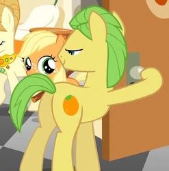 Size: 593x601 | Tagged: safe, screencap, applejack, aunt orange, mosely orange, uncle orange, earth pony, pony, g4, the cutie mark chronicles, butt, door, female, filly, filly applejack, hoof hold, lidded eyes, male, mare, out of context, plot, stallion, younger