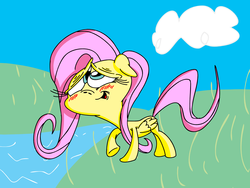 Size: 1600x1200 | Tagged: safe, artist:nocturnalmeteor, fluttershy, pegasus, pony, g4, female, solo