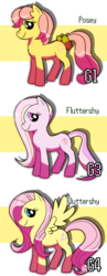Size: 700x1810 | Tagged: dead source, safe, artist:shufflestripes, fluttershy, fluttershy (g3), posey, g1, g3, g4, comparison, g1 to g4, g3 to g4, generation leap