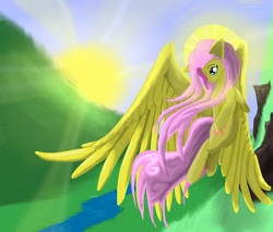 Size: 750x640 | Tagged: safe, artist:zerodevil, fluttershy, g4, halo