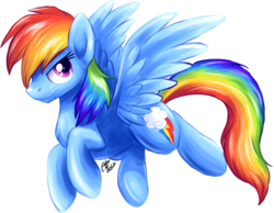 Size: 941x732 | Tagged: safe, artist:fizzy-dog, rainbow dash, pegasus, pony, g4, chest fluff, female, flying, looking at you, mare, simple background, solo, spread wings, transparent background, wings