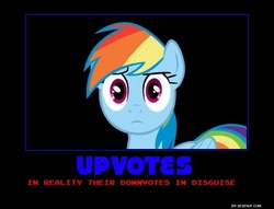 Size: 750x574 | Tagged: safe, rainbow dash, g4, demotivational poster, meme, misspelling