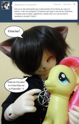 Size: 818x1280 | Tagged: safe, fluttershy, cat, g4, ask, ball jointed doll, brushable, female, furry, irl, photo, spanish, toy, tumblr