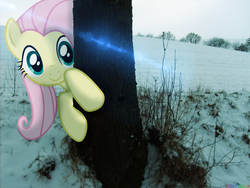 Size: 2560x1920 | Tagged: safe, artist:colorfulbrony, fluttershy, g4, cute, irl, photo, ponies in real life