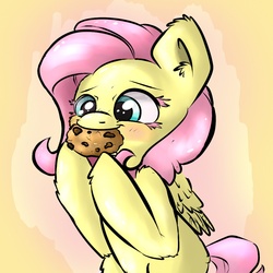 Size: 1200x1200 | Tagged: safe, artist:angelwing314, fluttershy, pony, g4, cookie, cute, eating, female, fluffy, shyabetes, solo