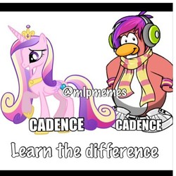 Size: 500x500 | Tagged: safe, princess cadance, alicorn, bird, penguin, pony, g4, club penguin, comparison, dj cadence, know the difference, mispelled names, misspelling, name