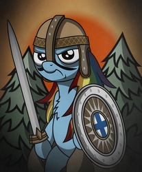 Size: 1641x1985 | Tagged: safe, artist:friendshipismetal777, rainbow dash, pony, g4, ensiferum, female, helmet, shield, solo, sword, viking