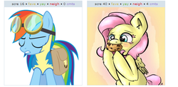 Size: 573x279 | Tagged: safe, fluttershy, rainbow dash, g4, cookie