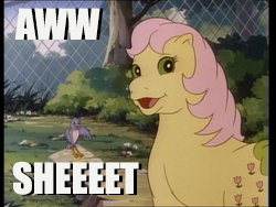 Size: 250x188 | Tagged: safe, edit, edited screencap, screencap, posey, bird, g1, my little pony 'n friends, image macro, looking at you, reaction image